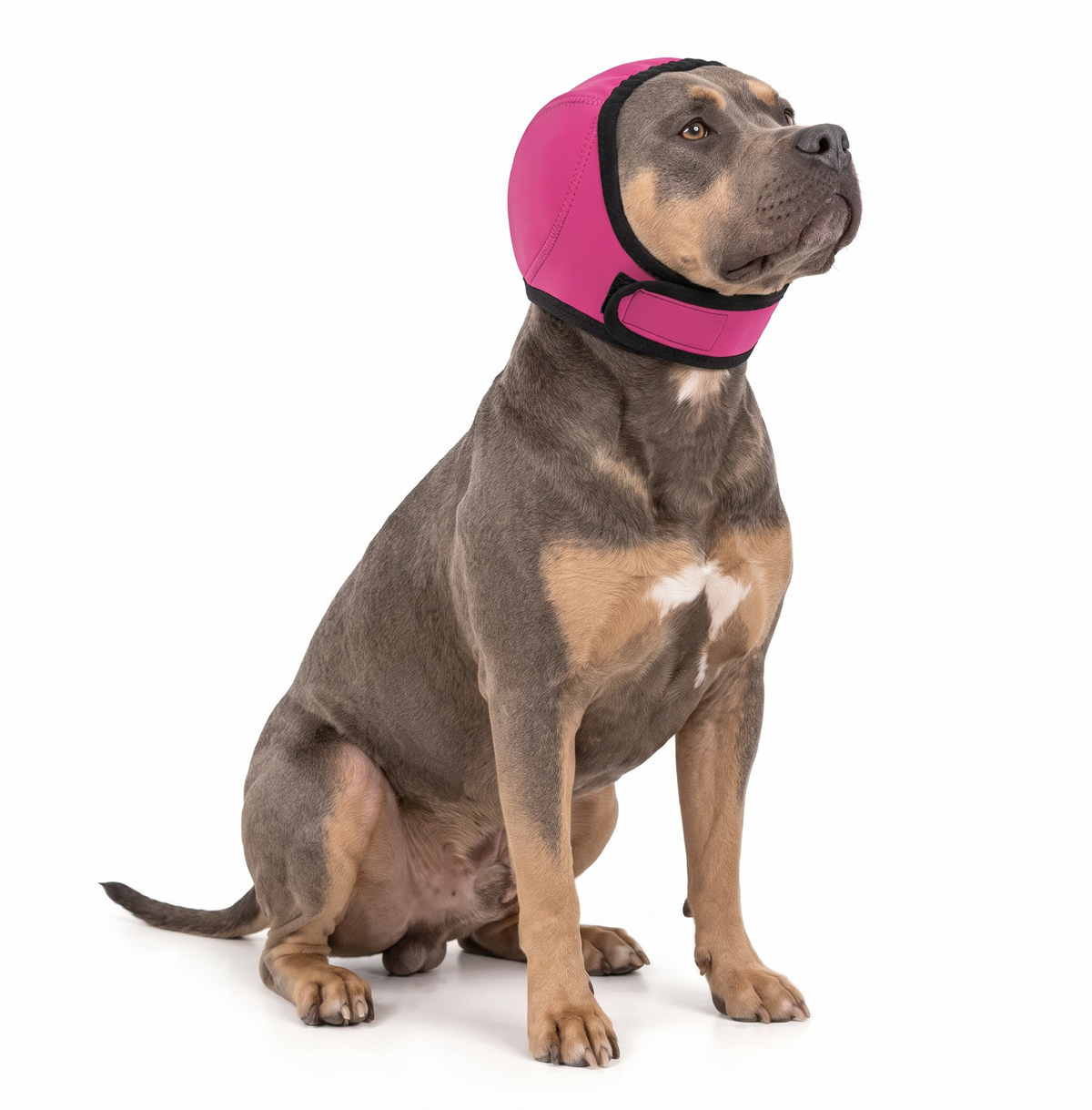 Orejeras Calmantes para Perros